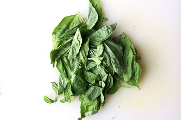 Basil leaves