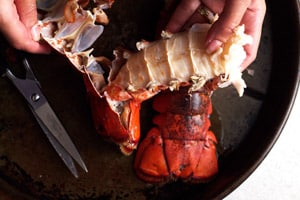 Removing the meat from the lobster tail