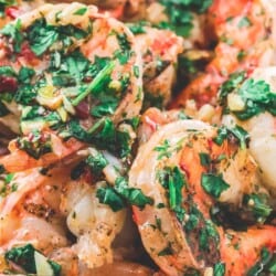 Grilled Shrimp Tossed in Roasted Garlic Cilantro Sauce to serve with pasta