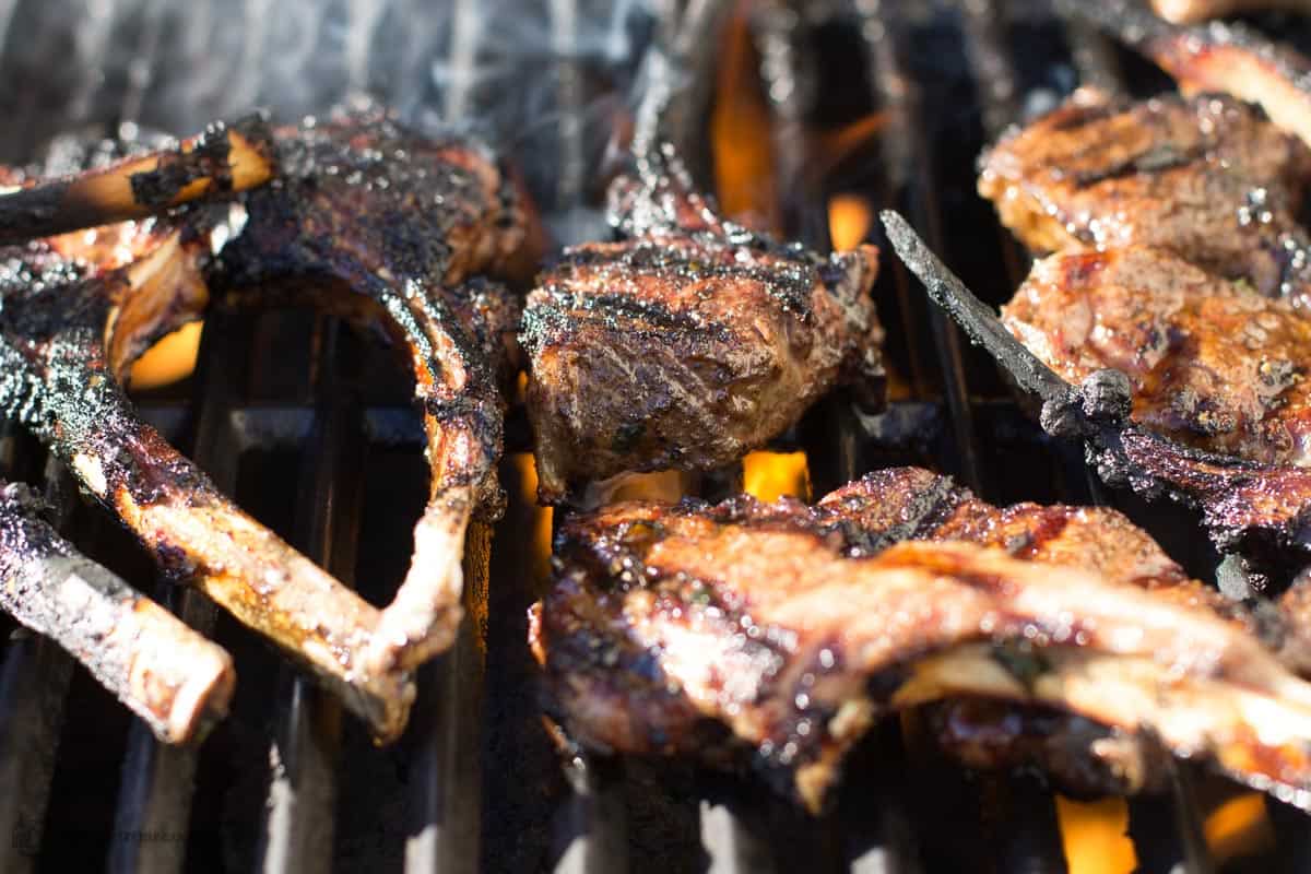 Lamb chops on the grill