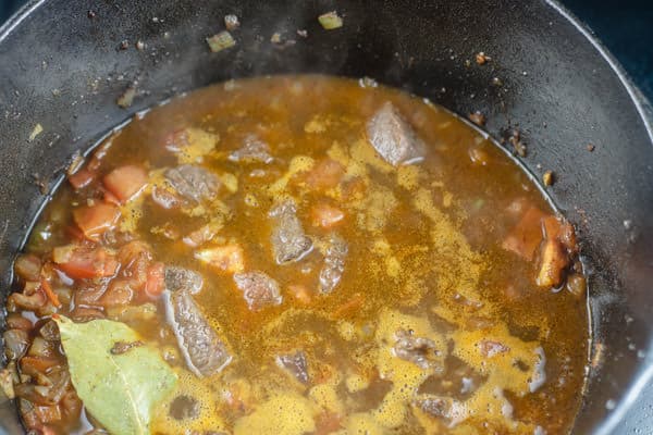 Pot with all spices, beef, water and bay leaf