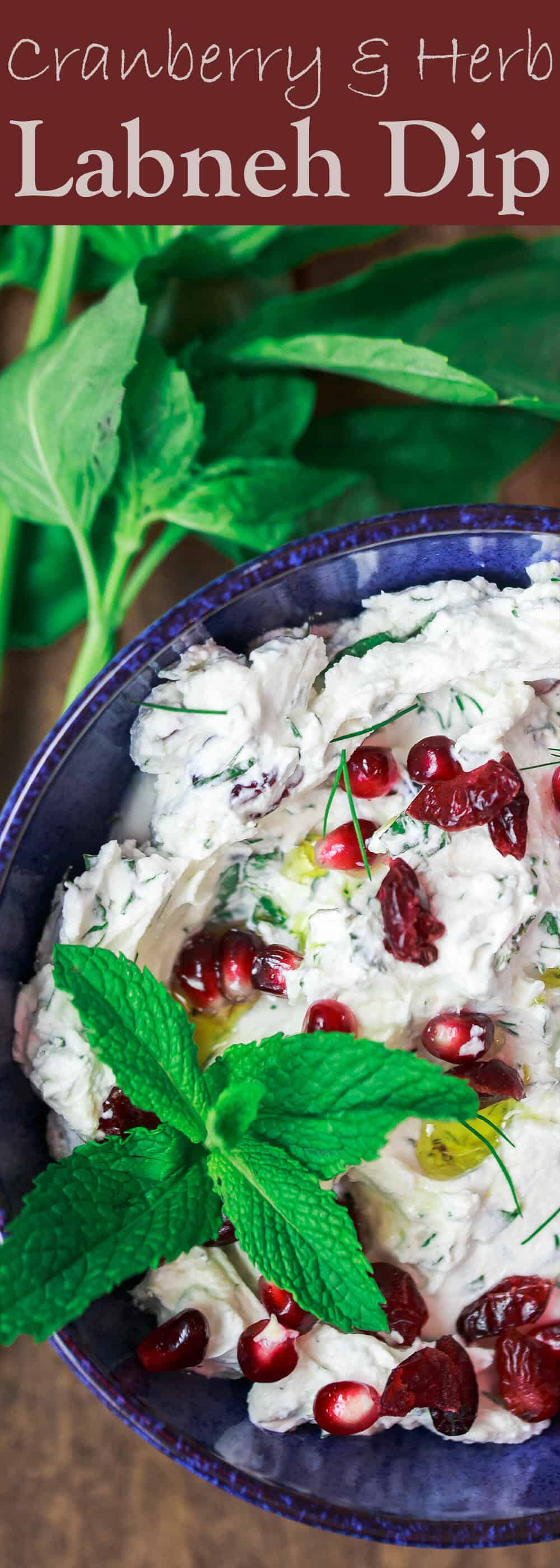 Cranberry and Herb Labneh Recipe | The Mediterranean Dish. Creamy labneh cheese makes the perfect Mediterranean party dip with loads of fresh herbs and dried cranberries. This labneh recipe comes with a homemade pita chips recipe as well! So easy. See it on TheMediterraneanDish.com #labneh #labnehdip #cheesedip #mediterraneanrecipe 