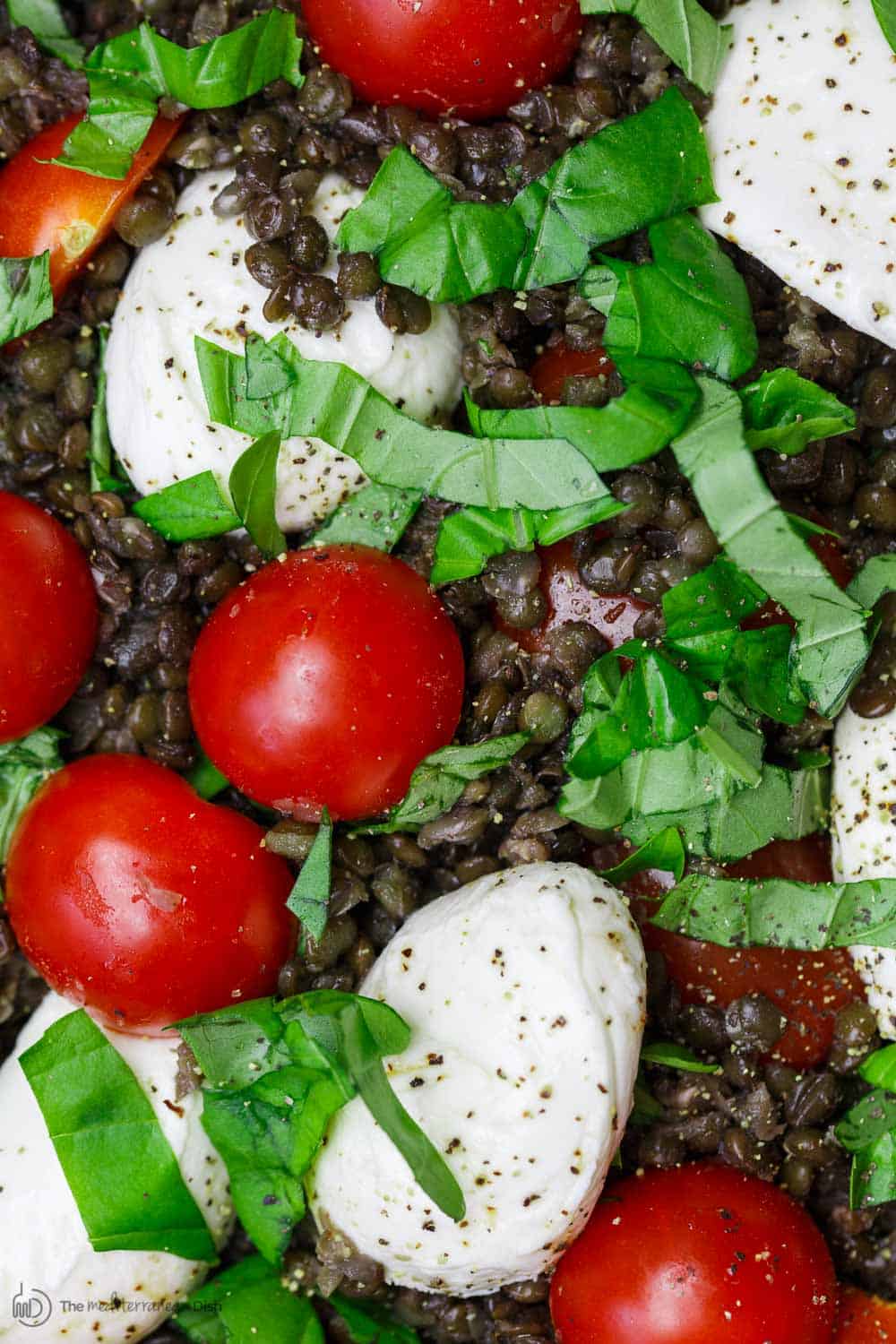 Close-up of lentils, tomatoes and cheese