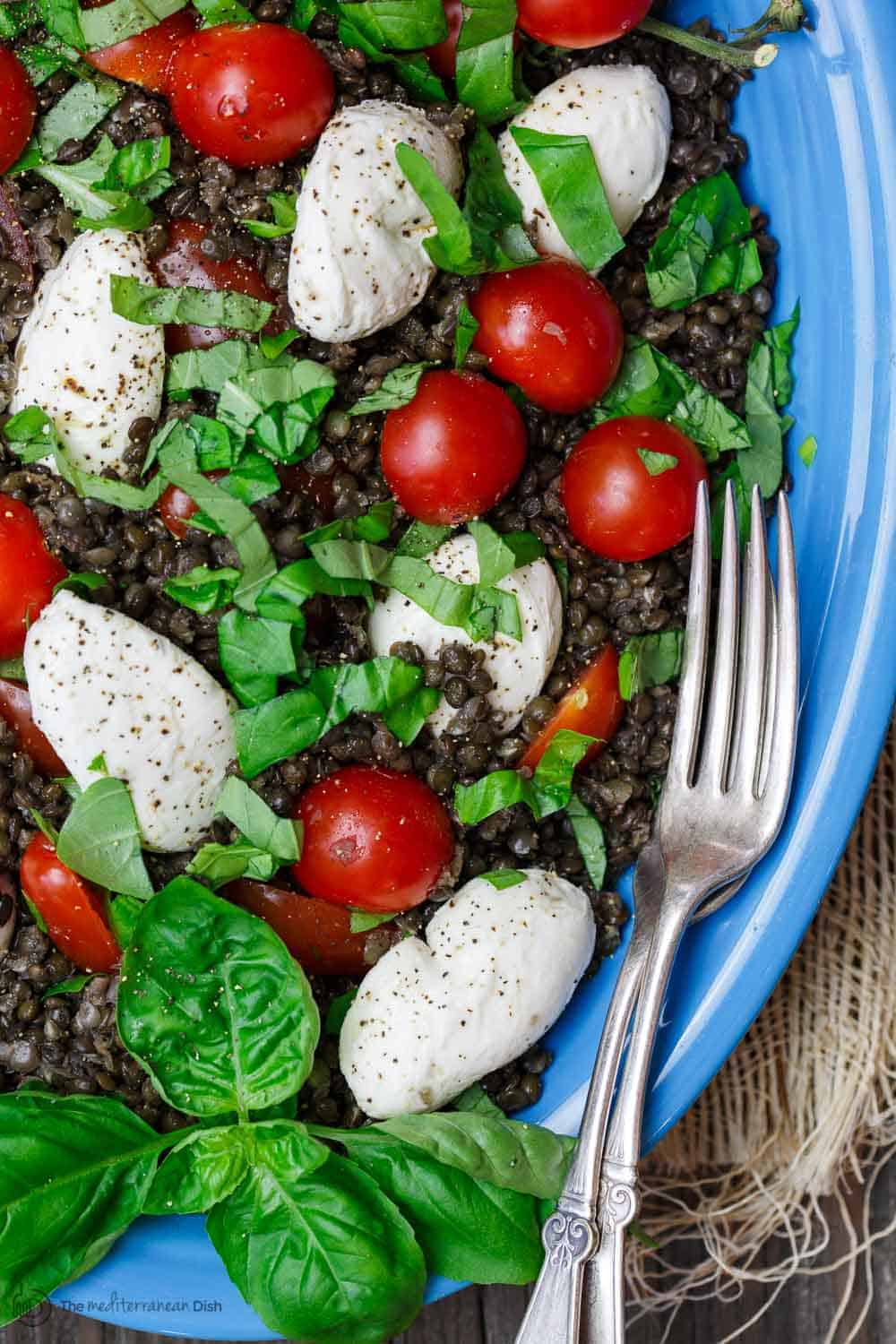 Caprese Lentil Salad with tomatoes and mozzarella cheese