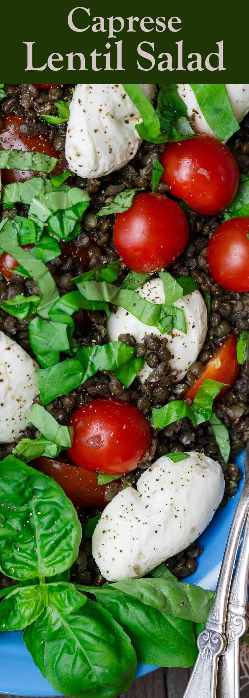 Caprese Lentil Salad Recipe | The Mediterranean Dish. A satisfying, hearty caprese salad on top of a bed of creamy black lentils. This caprese lentil salad recipe is the perfect side, appetizer, or even lunch. From TheMediterranenaDish.com #capresesalad #lentilsalad #mediterraneandiet #lentils #lentilrecipe #caprese #saladrecipe #mediterraneanfood #healthyrecipes #glutenfreerecipes #vegetarianrecipes