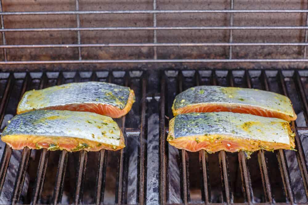 salmon on the grill, flesh side down.