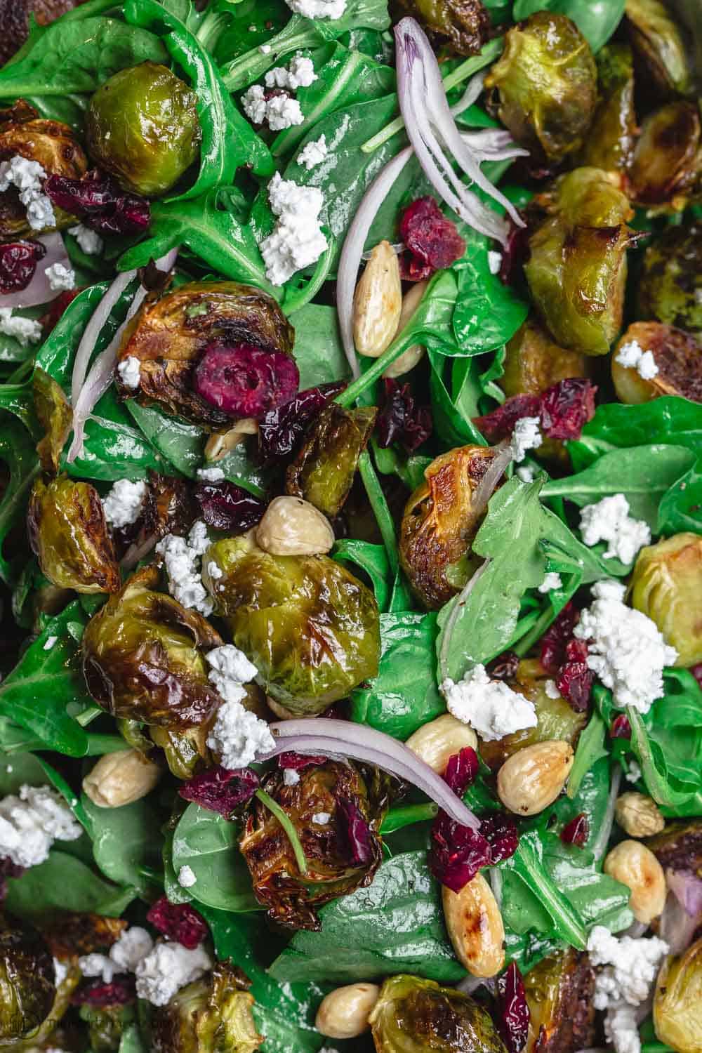 Close up roasted brussels sprouts salad with arugula, spinach, feta, cranberries, almonds