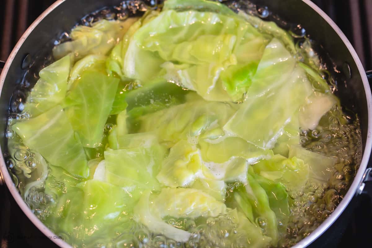 Chopped cabbage leaves cooking in boiling water