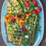 Grilled Vegetables. Eggplant, asparagus, squash, tomatoes, and bell peppers