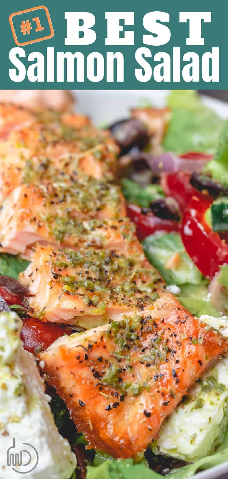Greek Salmon Salad Recipe | The Mediterranean Dish