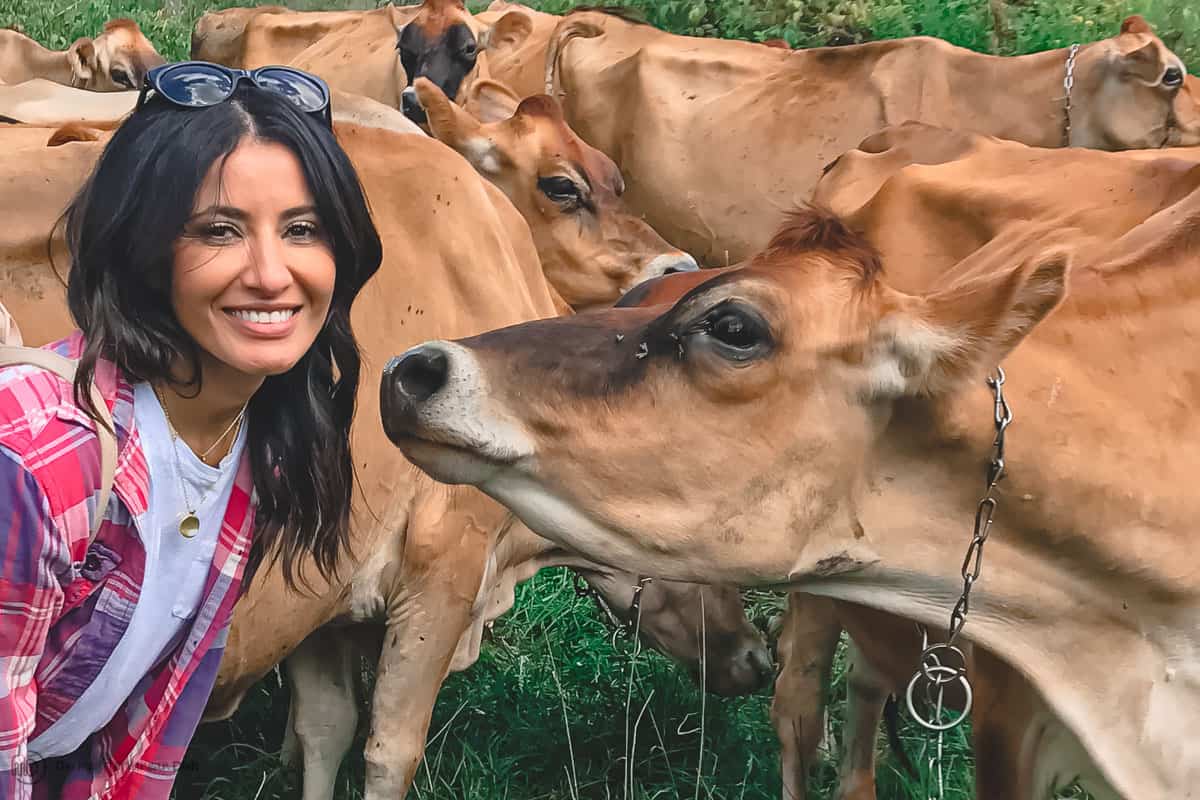 Suzy with cows