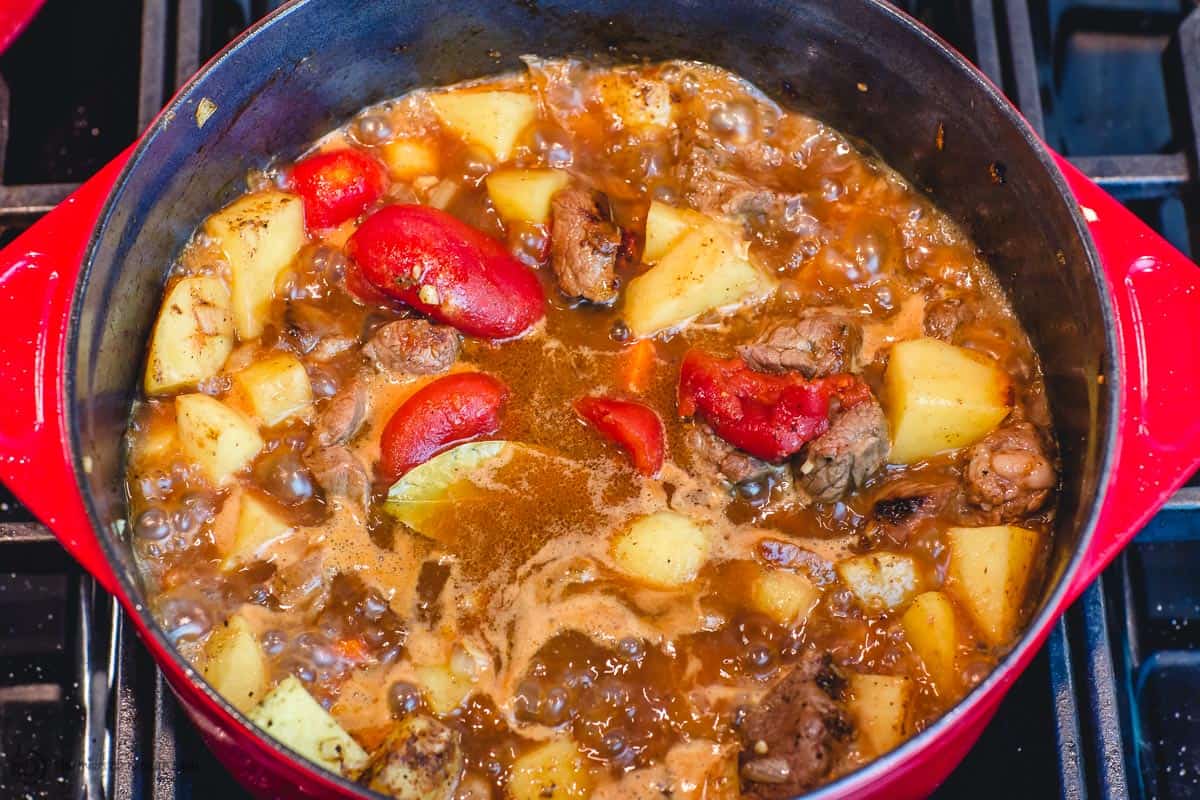 Lamb stew and vegetables boiling on stovetop