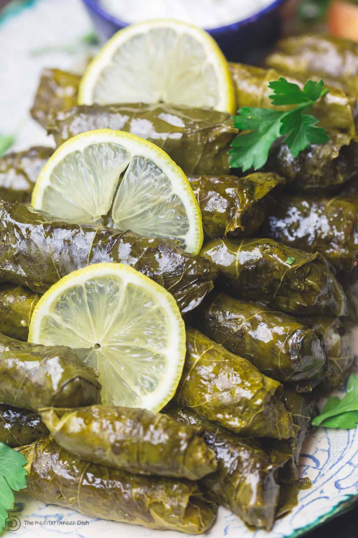 Stuffed Grape leaves on Serving Platter with Sliced lemons and a side of Tzatiki sauce