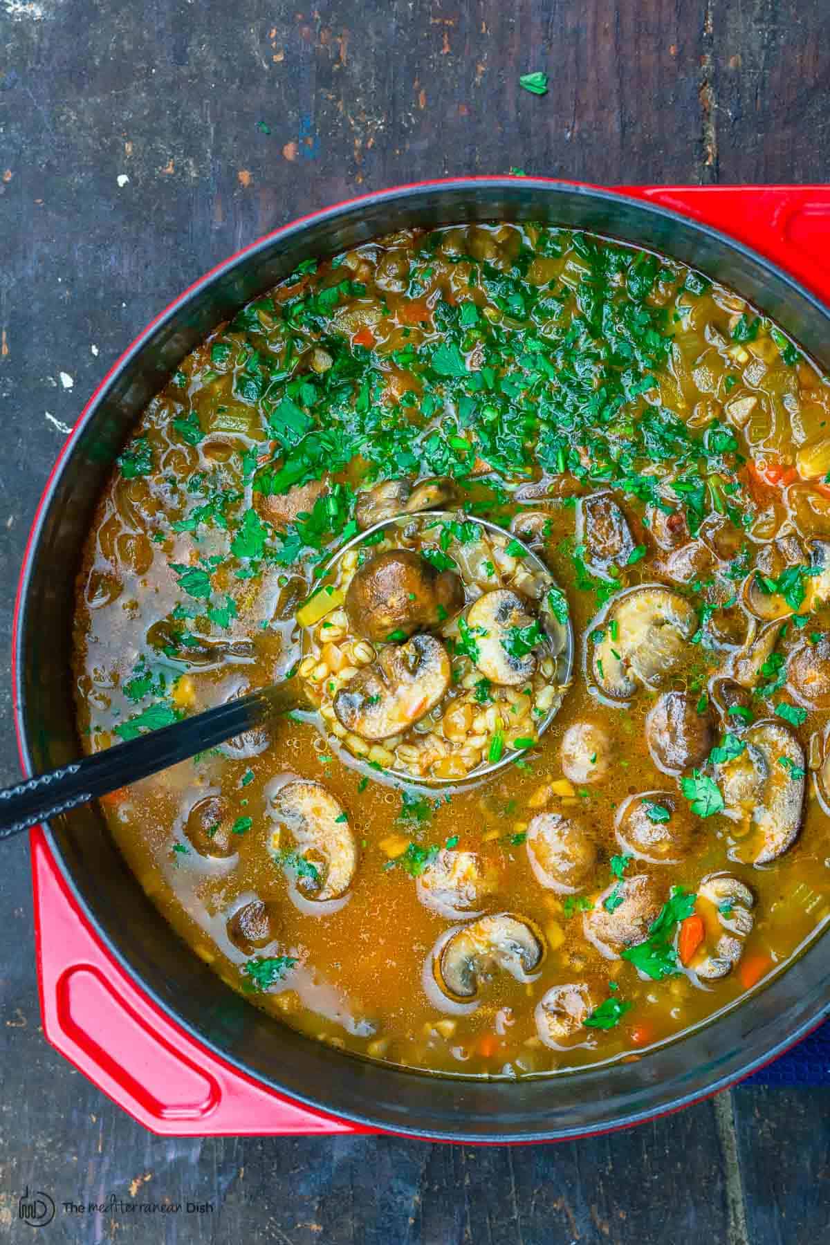 Simple Mushroom Barley Soup - The Mediterranean Dish