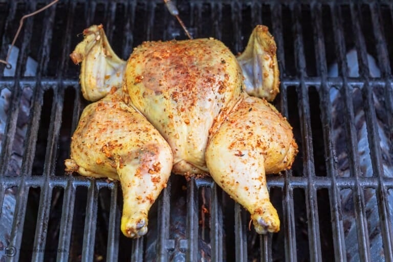 Juiciest Grilled Whole Chicken (w/ Video) The Mediterranean Dish