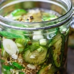 Pickled cucumbers in a jar