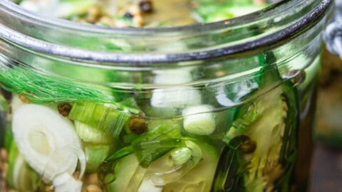 Recipe option