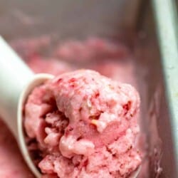 a scoop of homemade frozen yogurt in the container