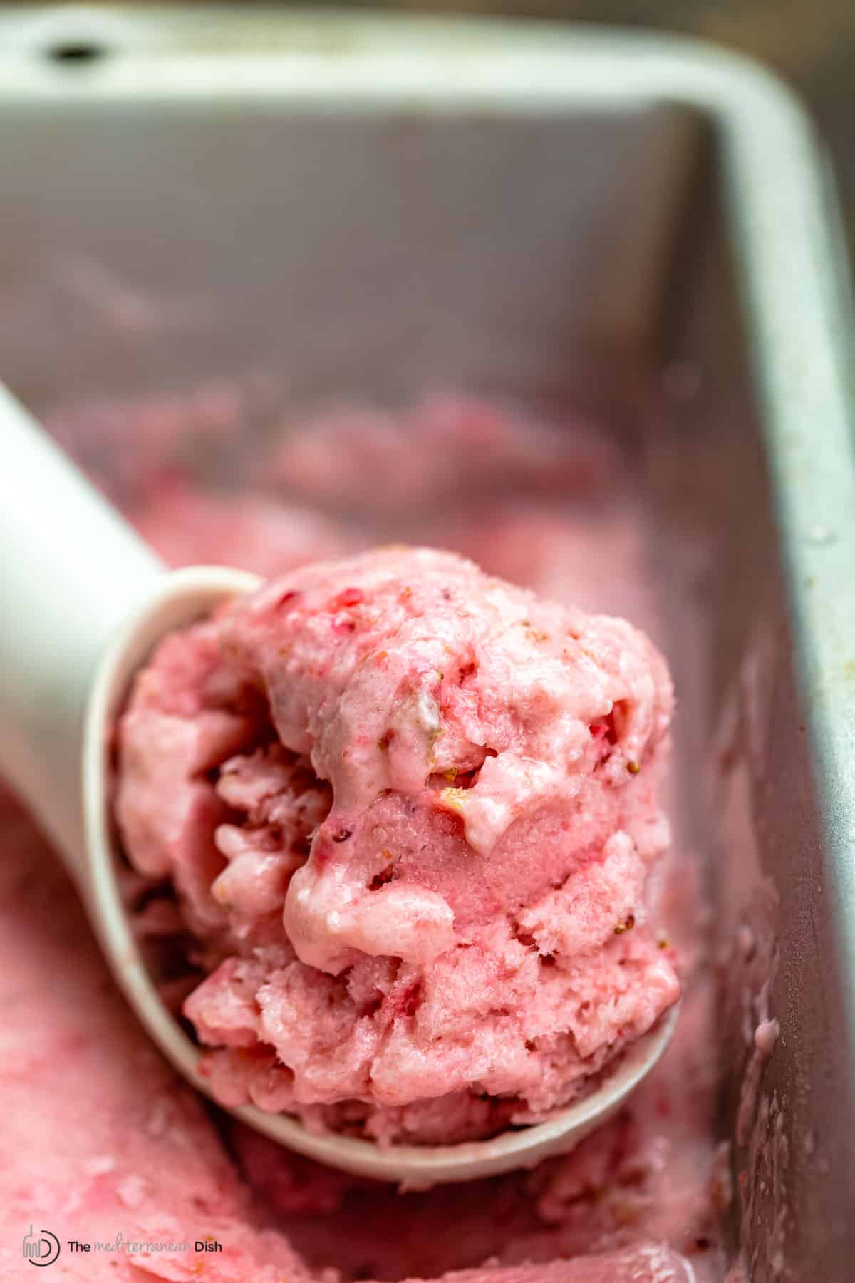 a scoop of homemade frozen yogurt in the container