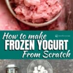 pinable image 2 for frozen yogurt recipe