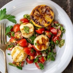 Grilled scallops served over Mediterranean-style salsa