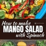 pin image 1 for mango salad recipe