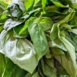 pin image 2 for fresh basil hack