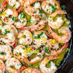 Garlic shrimp in a scampi sauce topped with parsley