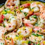 pin image 3 shrimp scampi