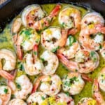pin image 2 shrimp scampi