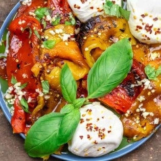 Overhead view of roasted bell peppers with burrata and seasoning