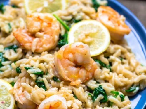 Shrimp Risotto Recipe