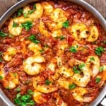 shrimp fra diavolo garnished with fresh parsley