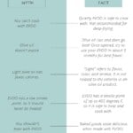 olive oil myths vs facts table