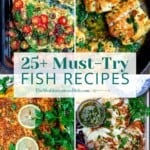 pin image 2 for fish recipes roundup