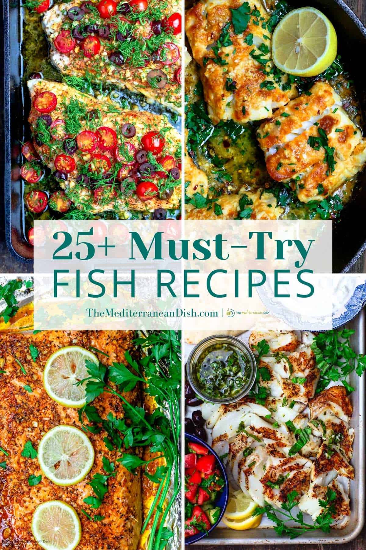 25+ Bold and Easy Fish Recipes Anyone Can Make - Mons Fishing