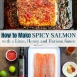 pin image 2 for spicy salmon