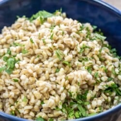 Side angle shot of cooked barley in a blue bowl