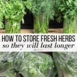 how to store fresh herbs pin image 1