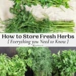 how to store fresh herbs pin image 3