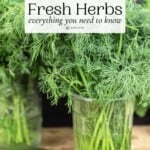 how to store fresh herbs pin image 2
