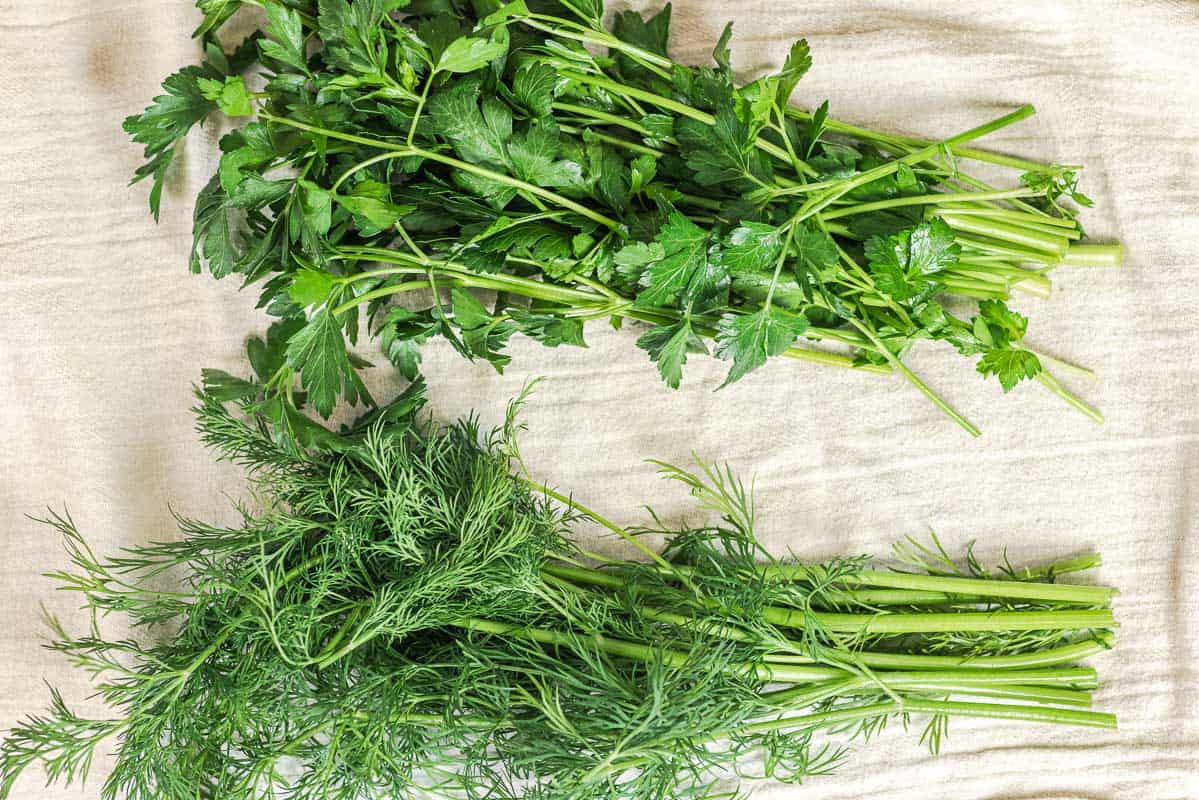 fresh dill and parsley drying on a clean towel