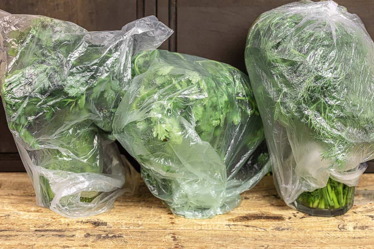 herbs in jars with plastic bag covering them