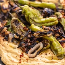 close up of hummus toppings: shallots and shishito peppers piled on top of creamy hummus