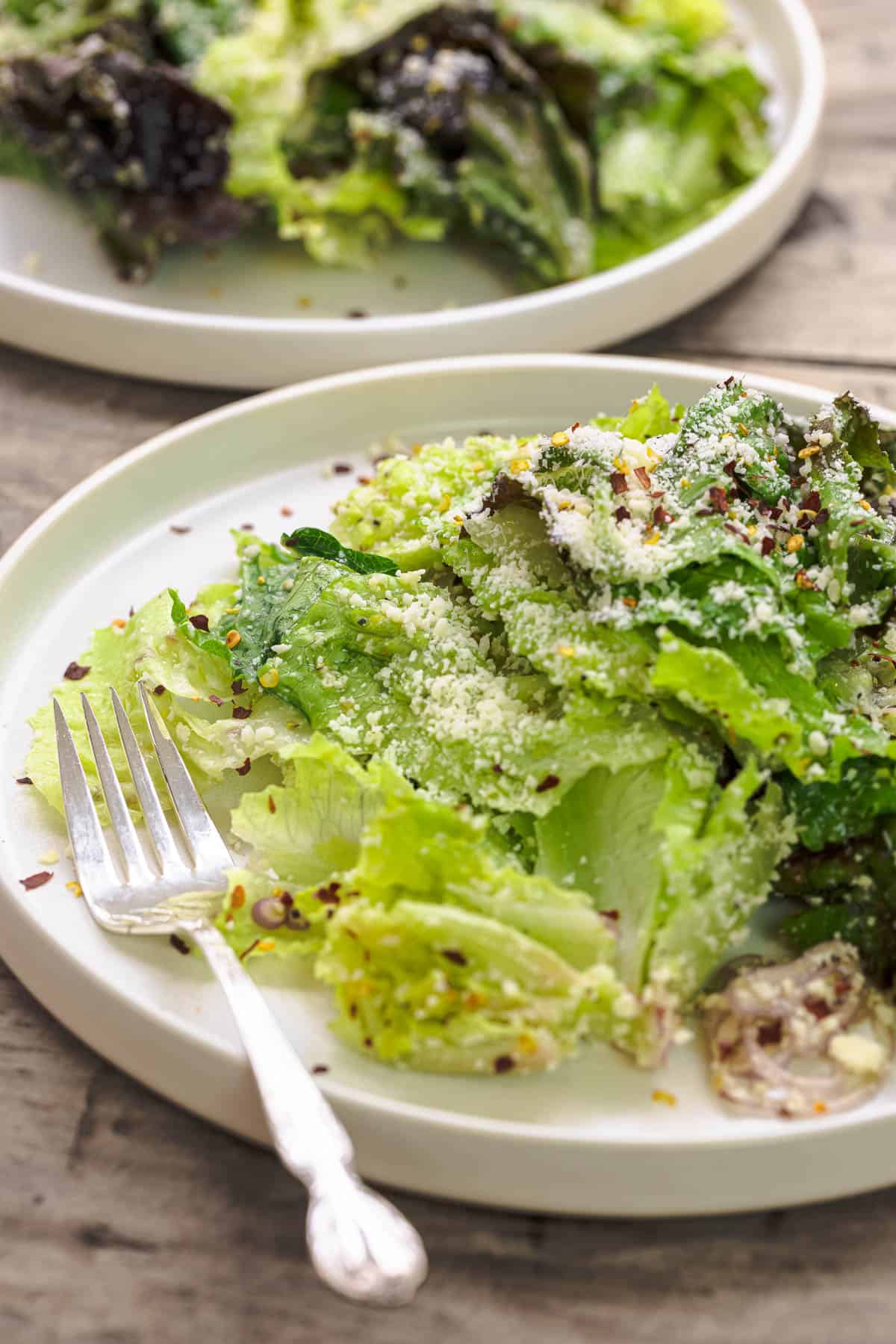 Lettuce salad with romaine and red leaf lettuce, parmesan, lemon zest, and red pepper flakes on a plate.
