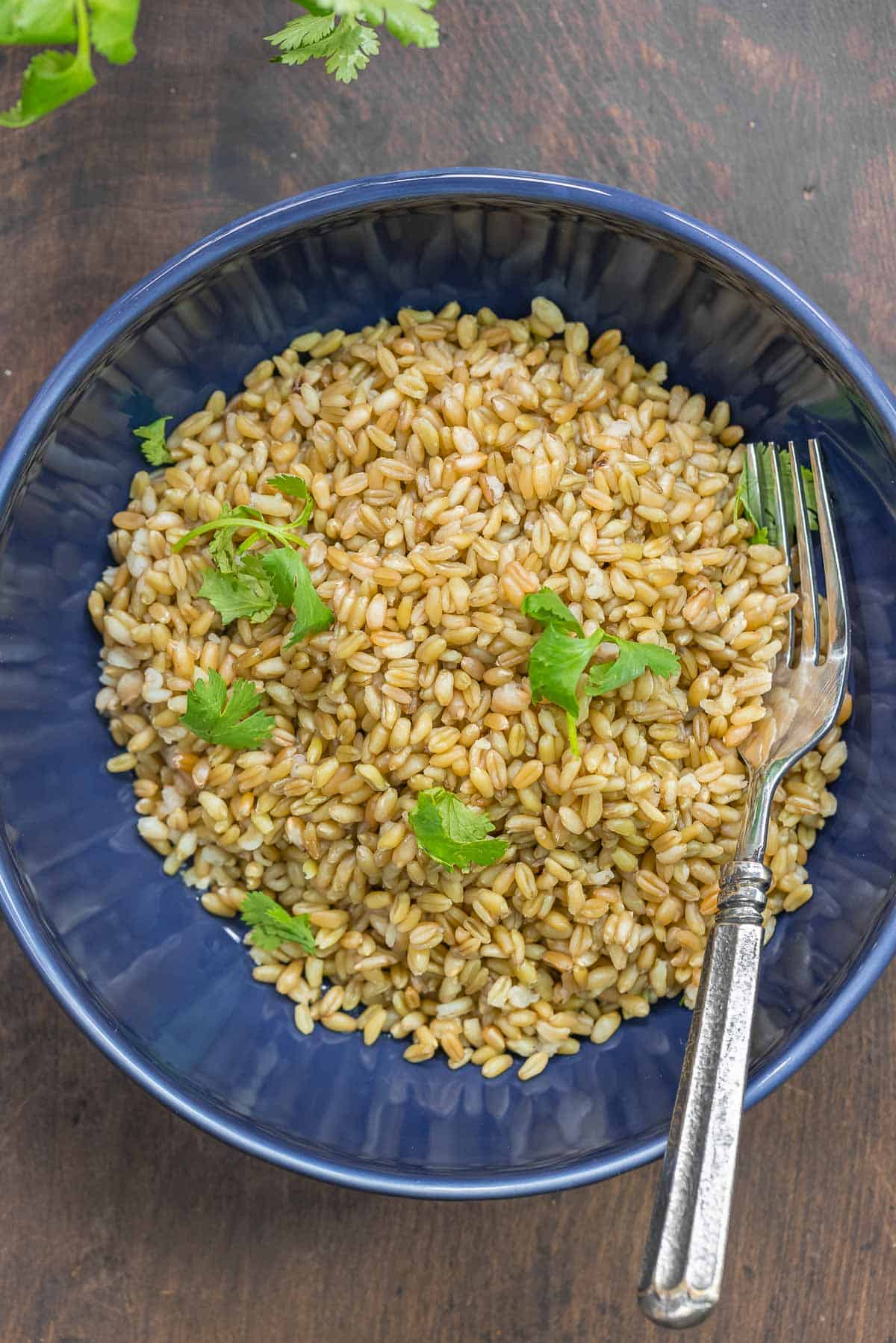 A bowl of cooked freekeh with parsley sprinked on top.