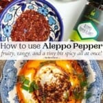 pin image 2 for what is Aleppo pepper