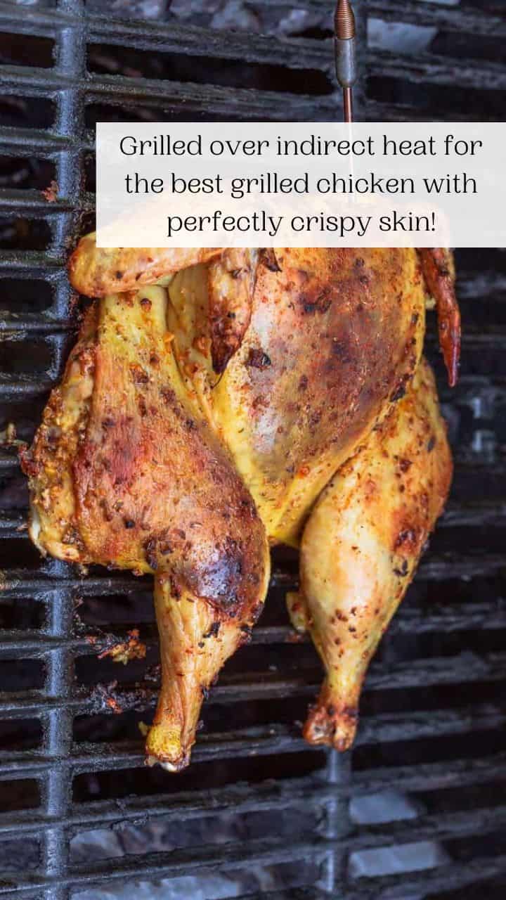 Juicy Grilled Whole Chicken, MediterraneanStyle The Mediterranean Dish