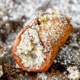 close up of a single cannolo.