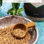 pin image 2 for how to cook farro.